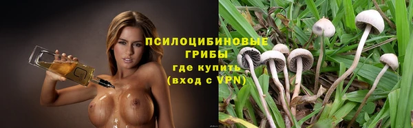 стаф Алексин