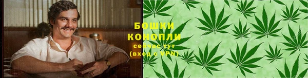 apvp Арсеньев