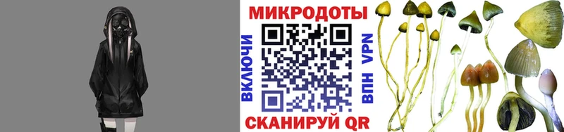 Галлюциногенные грибы мицелий  Новомичуринск 